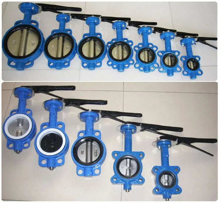 Industry SS304/SS316/Di Ci Wcb Body EPDM PTFE Rubber Seat Lug/Wafer/ Flange RF Double Triple Eccentric Butterfly Valve